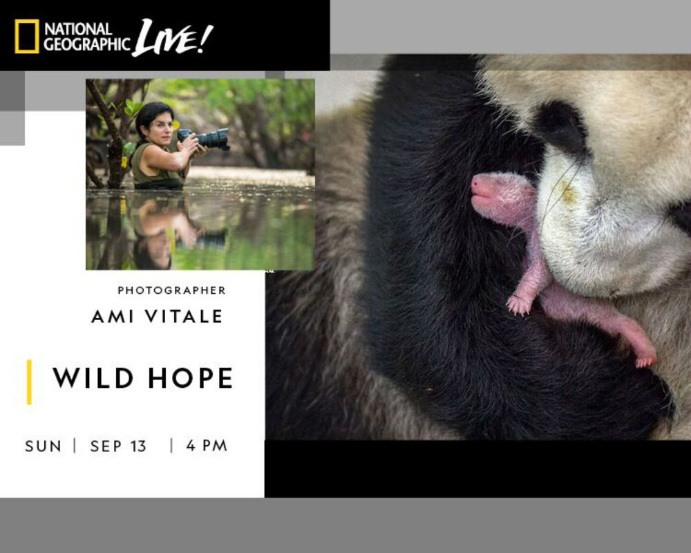 Ami Vitale: Wild Hope