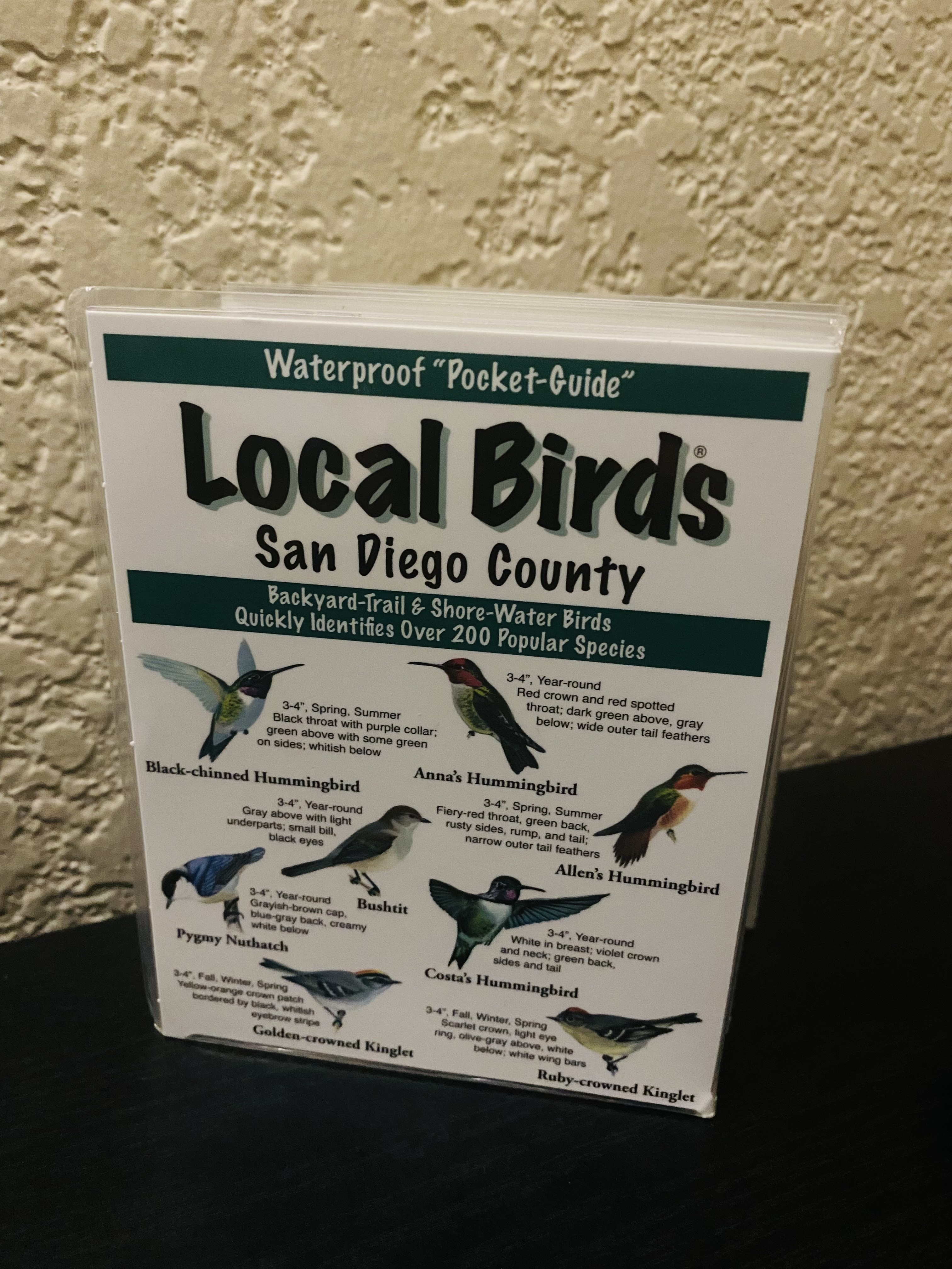 Local Birds Guide- English Version