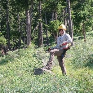 Restoration with the BLM