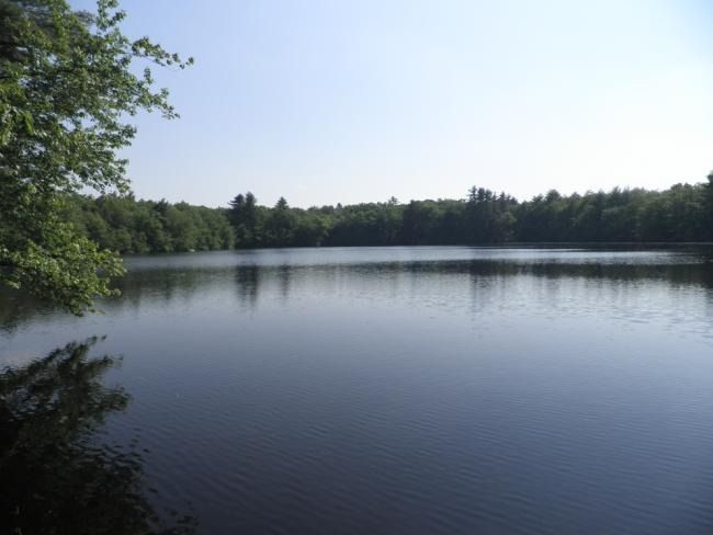 Carr Pond - exclusively yours when you rent this property