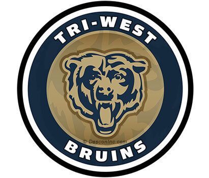 Medallion Logo Decal