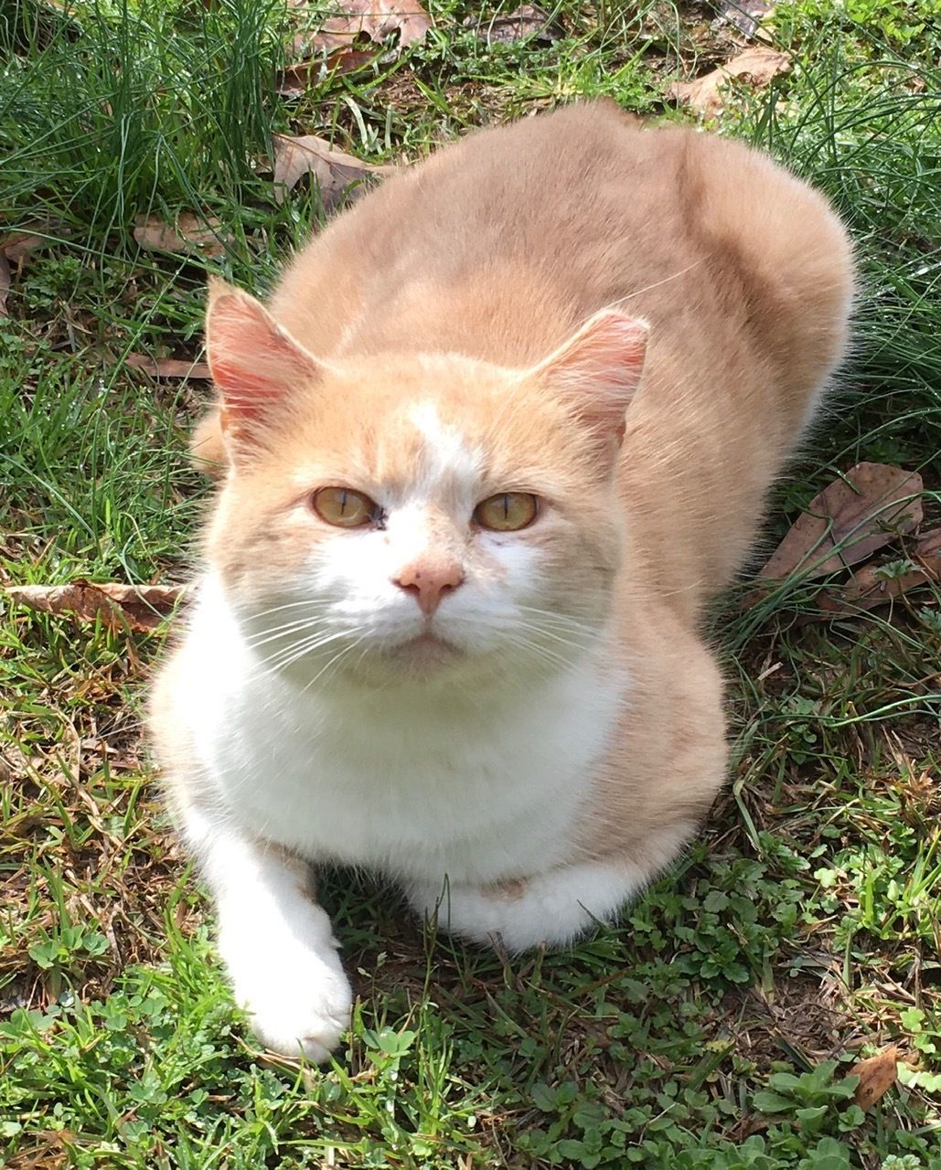 Frequently Asked Questions