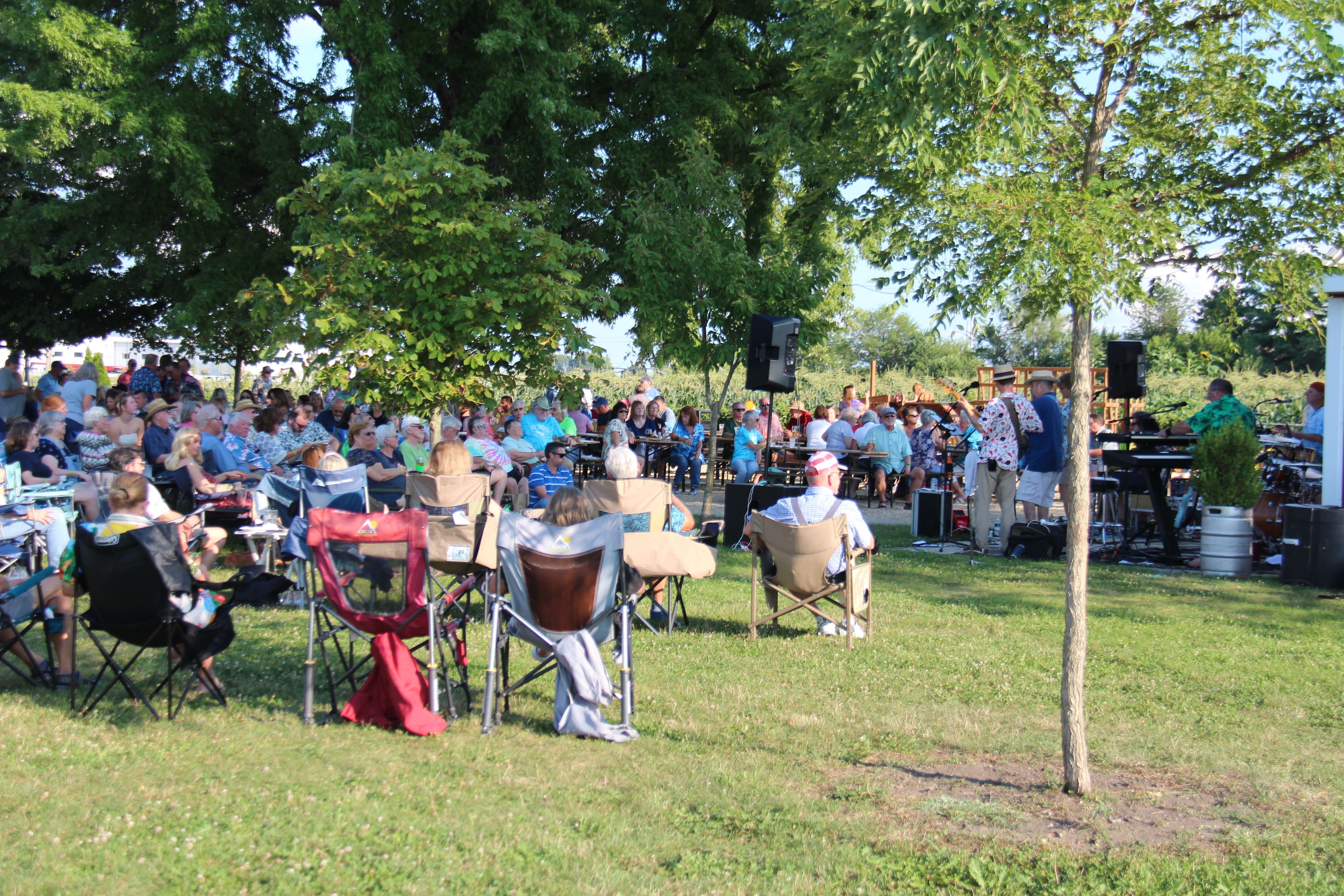 crowd