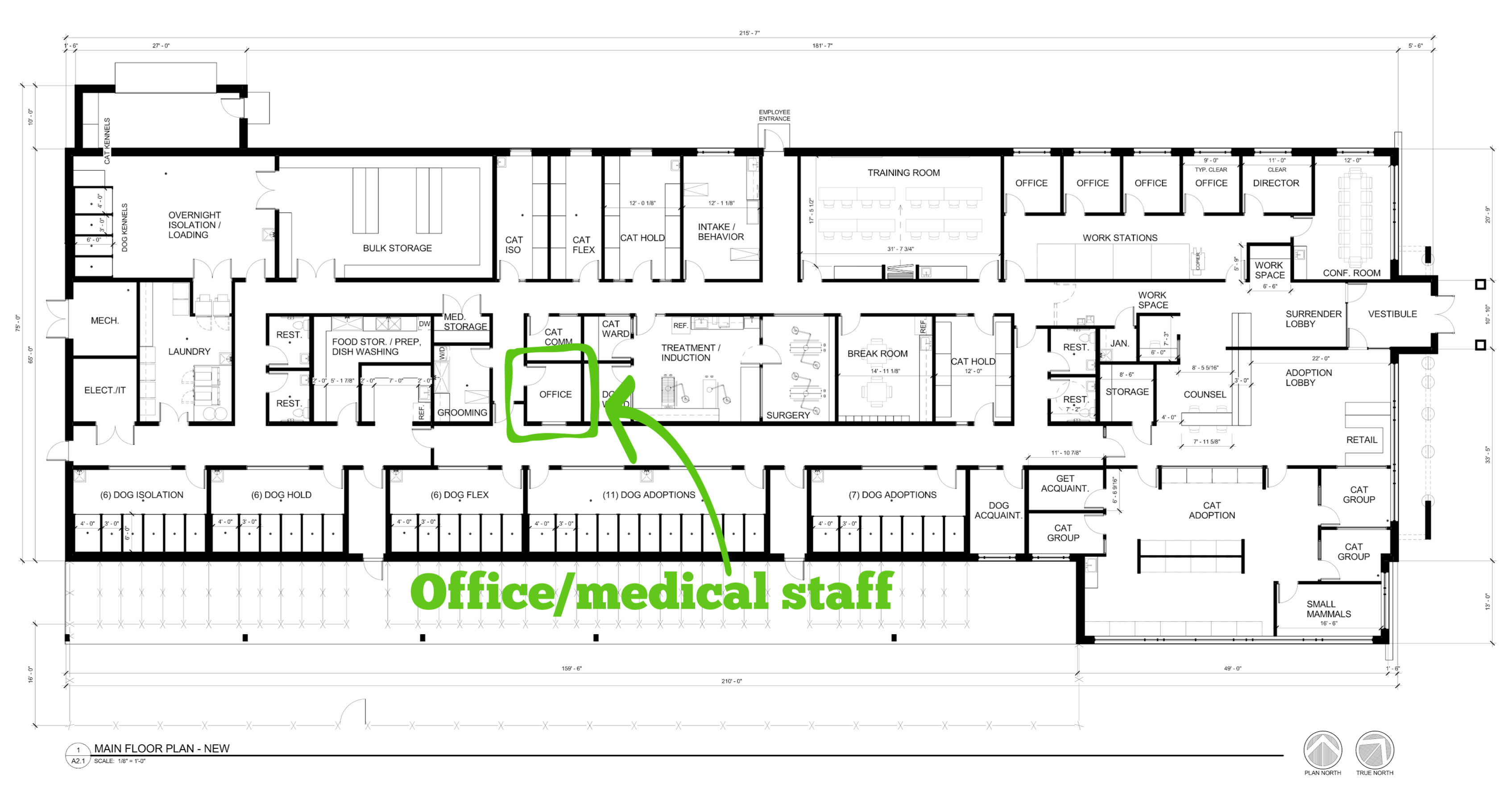 Office/Medical Staff
