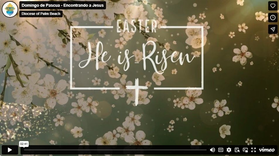 Domingo de Pascua, 2026 - Encontrando a Jesus