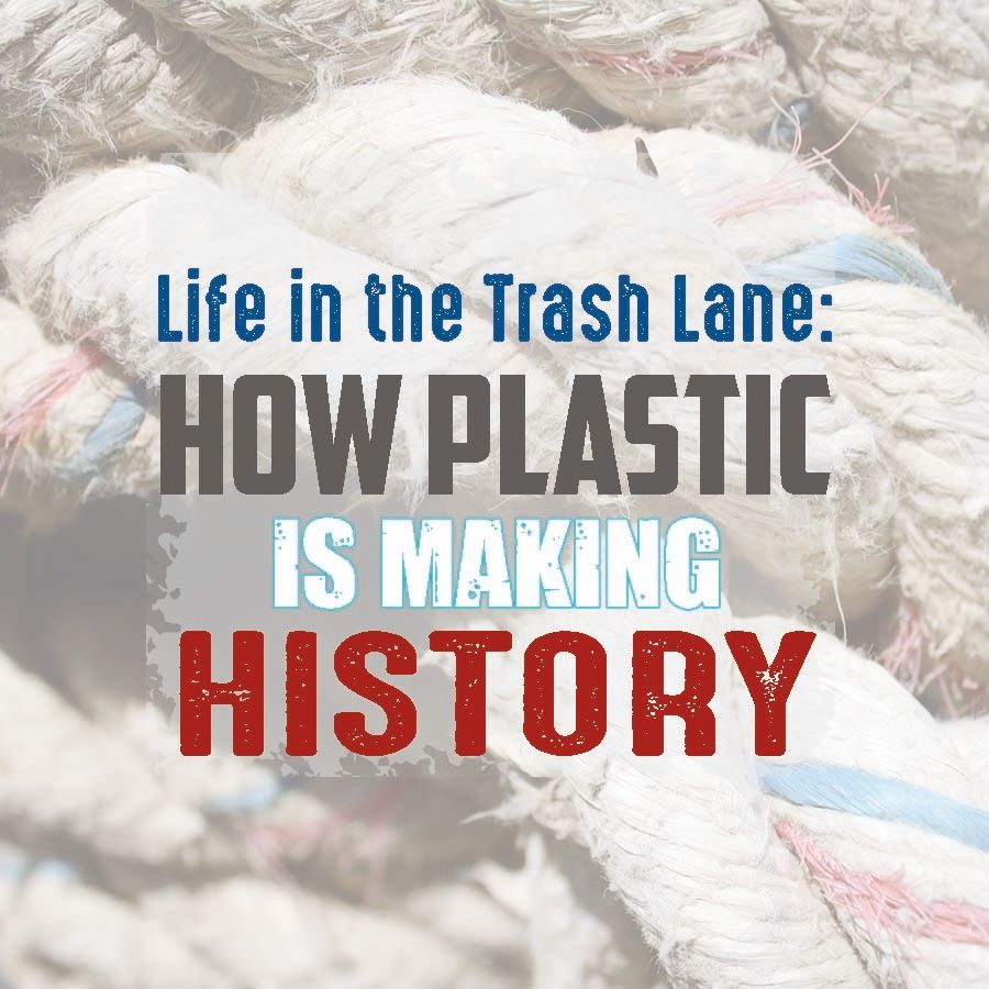 How Plastic is Making History + Simple Things You Can Do To Help