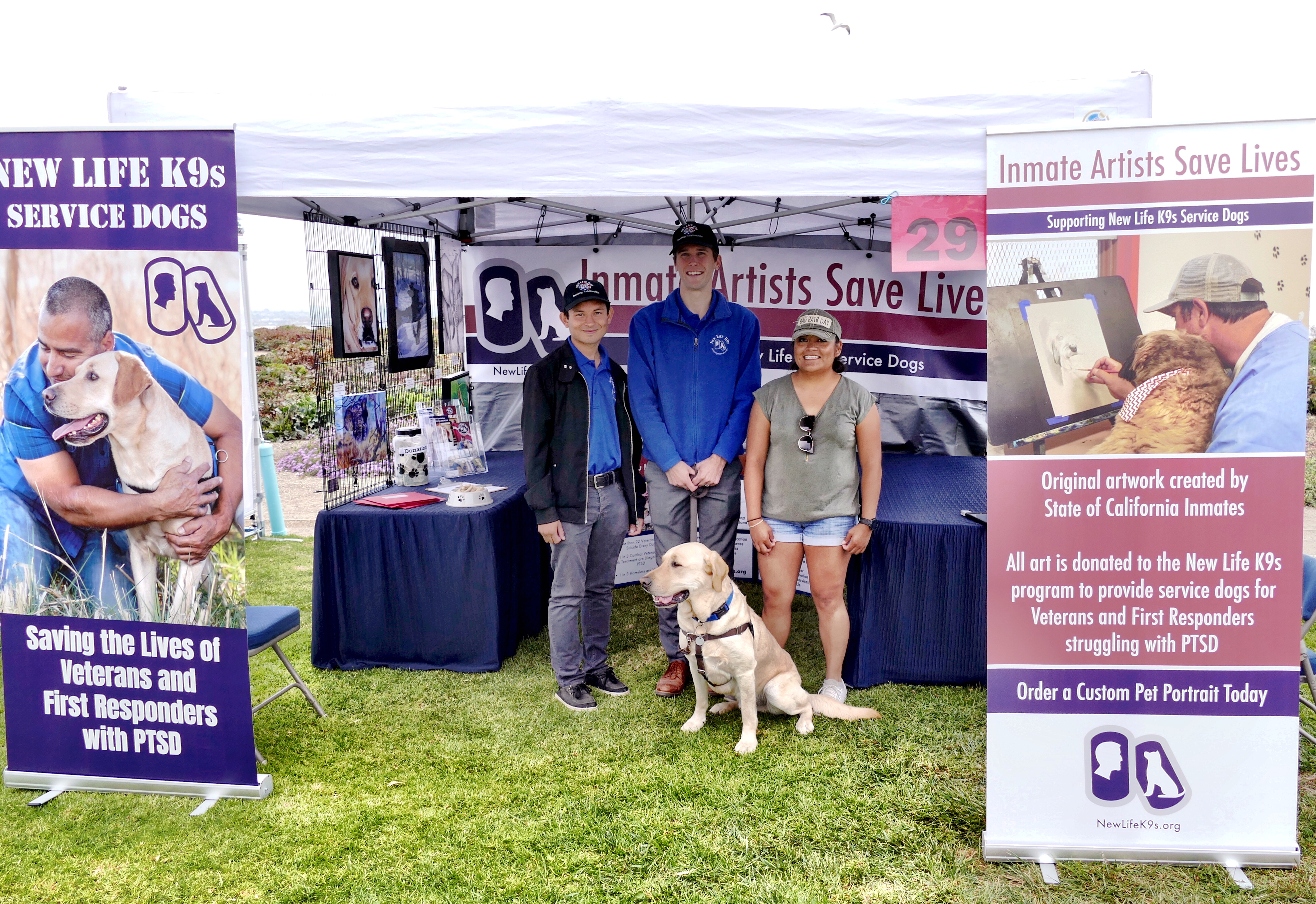 Art in the Park