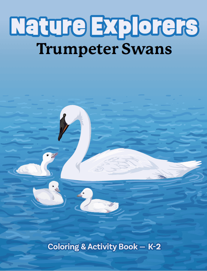 Your donation to The Trumpeter Swan Society will build a safe winter home for swans