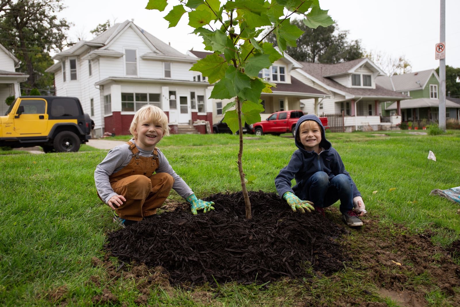 Trees for Omaha Keep Omaha Beautiful Emerald Ash Borer