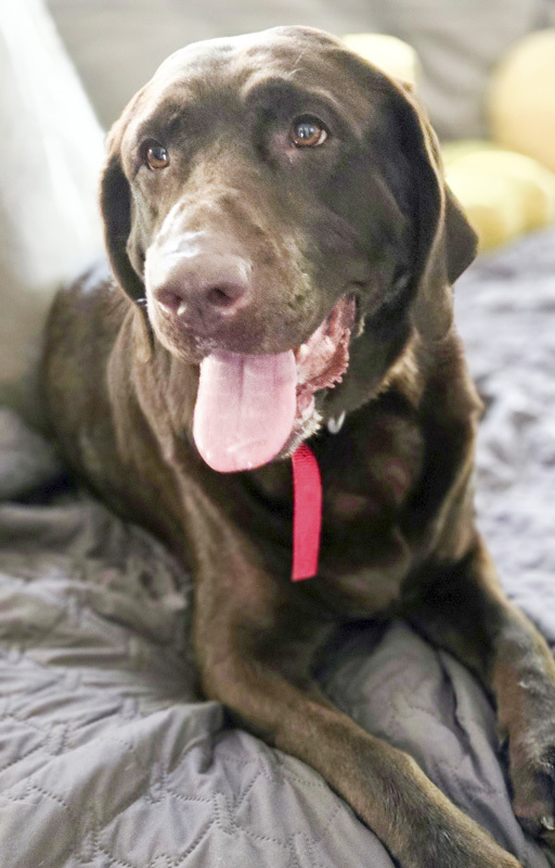 Heidi