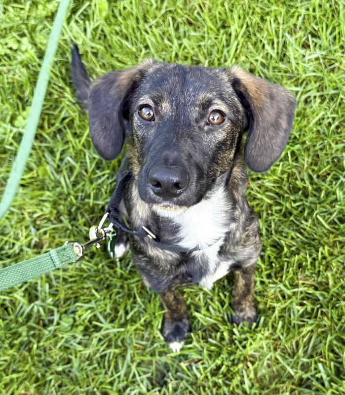 Ellie Mae