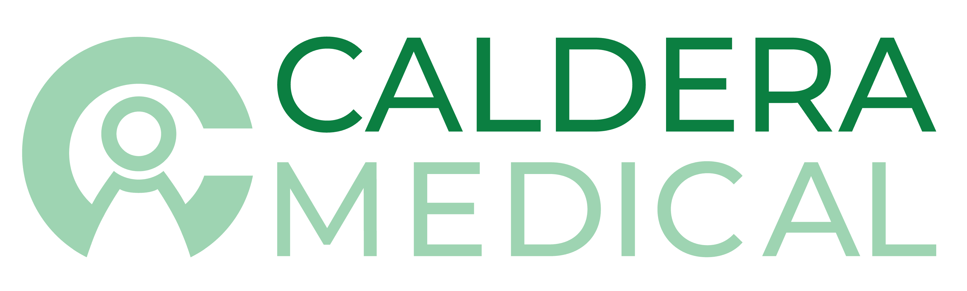 Caldera Medical