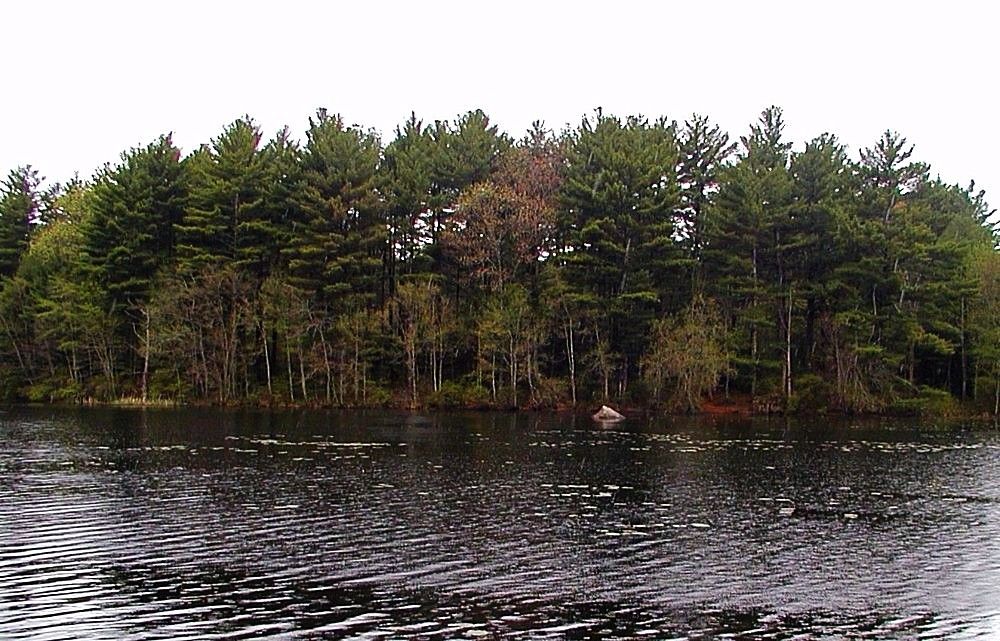 Waterman Pond Wildlife Refuge Coventry Audubon Society of Rhode Island Birds Birdwatching Hiking Nature Environment