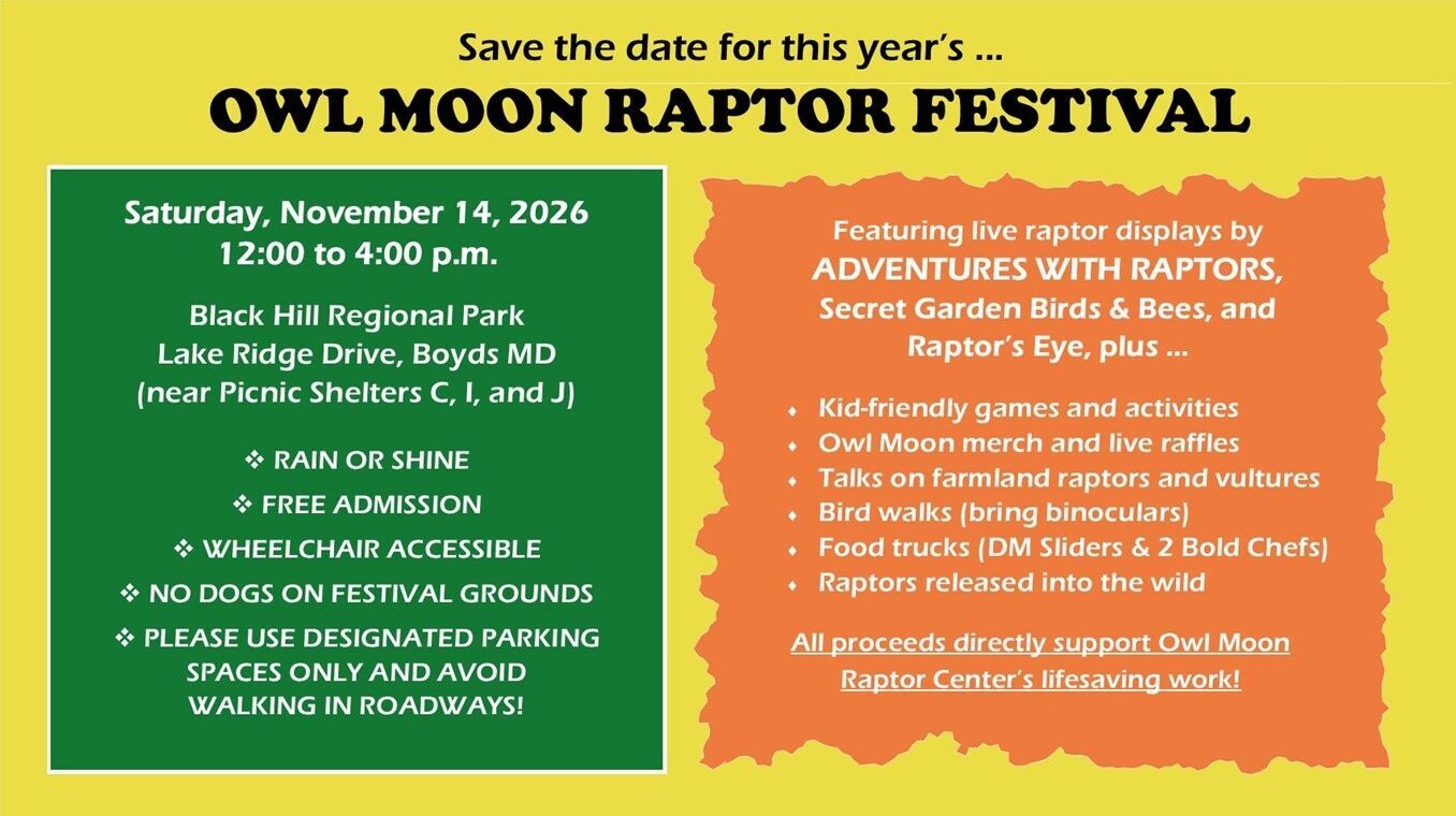 Image of Owl Moon Festival Banner