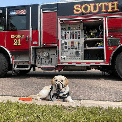 Hearing dog in front of fire truck