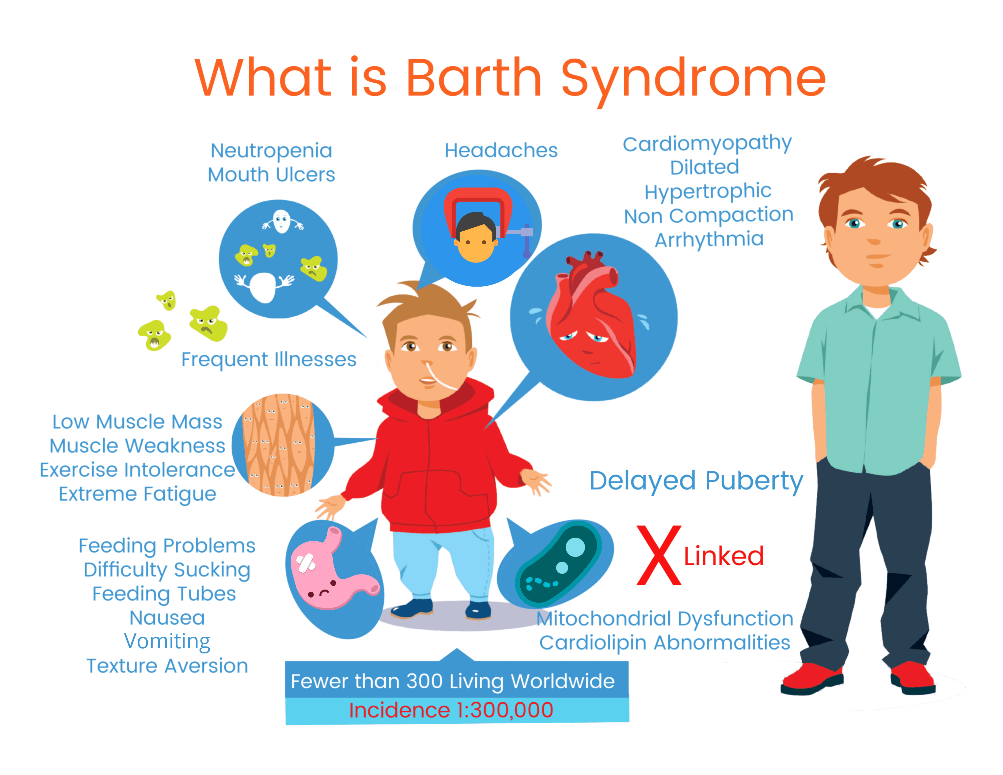 Barth Syndrome Infograph