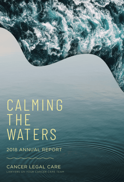 2018 Annual Report—Calming the Waters