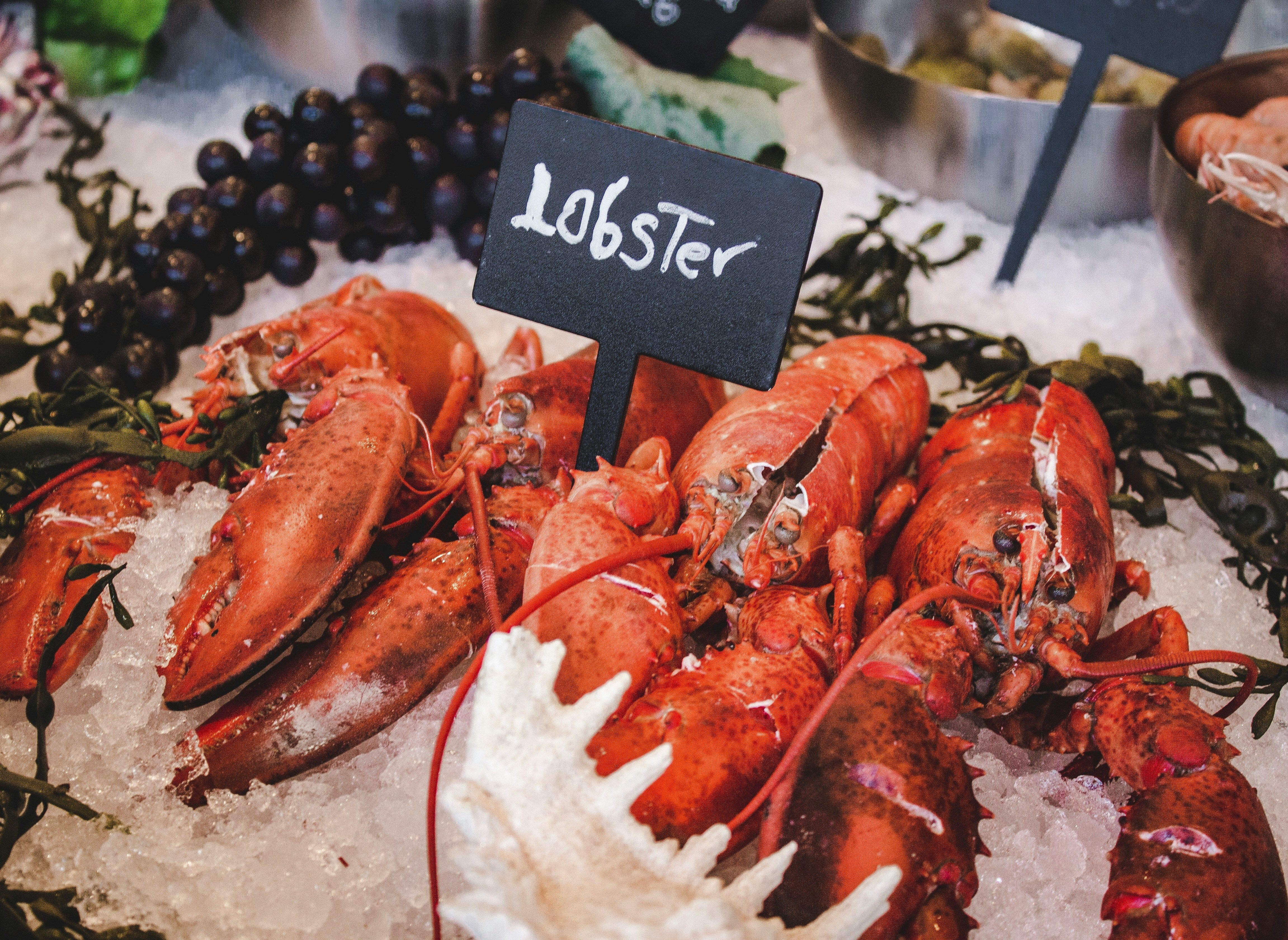Lobster and Poitics