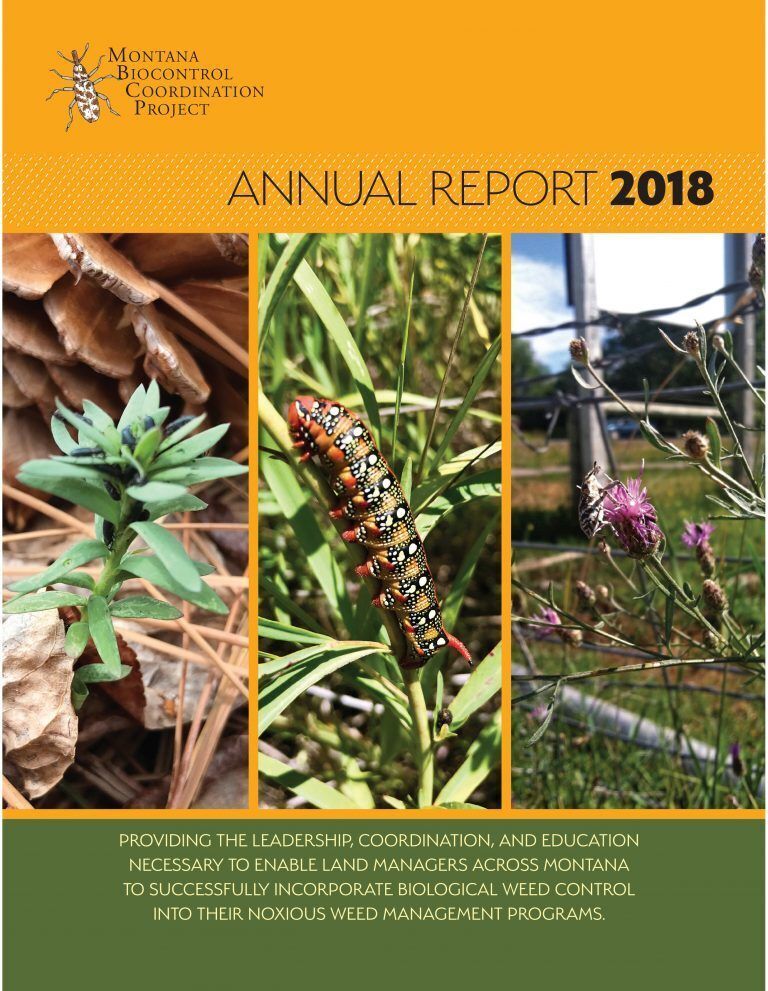 2018 Annual Report