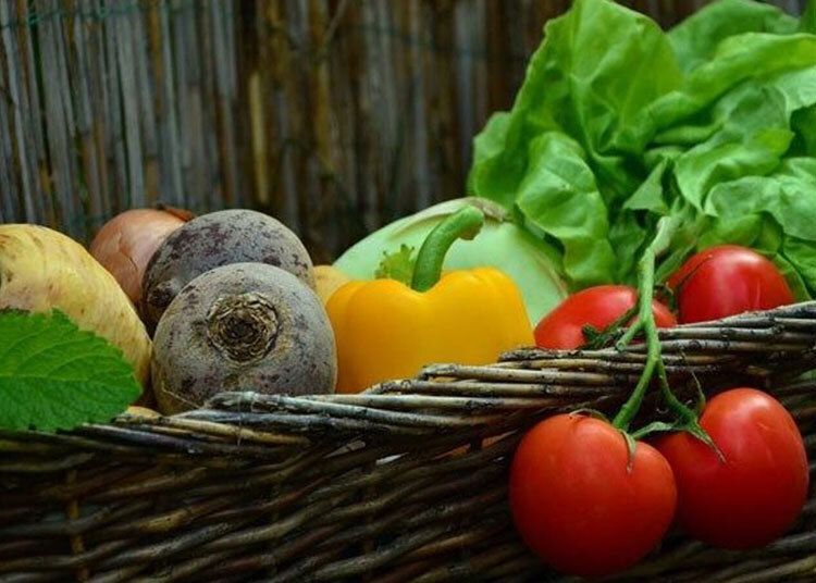 Omaha’s Community Harvest Accepting Subscriptions Citywide