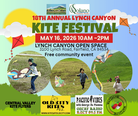 Annual Kite Festival