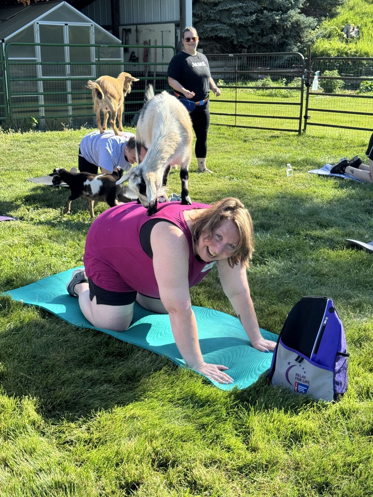 IGNITE Goat Yoga