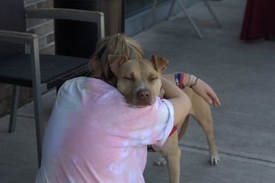 Surrendering store a dog