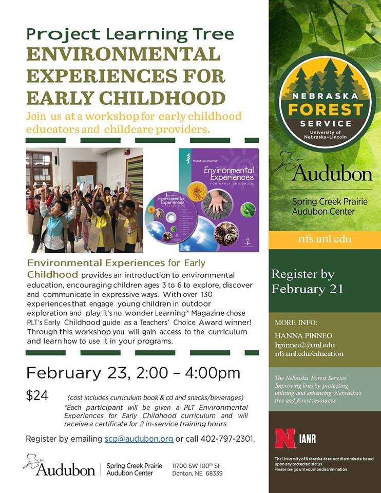 CE: Environmental Experience for Early Childhood