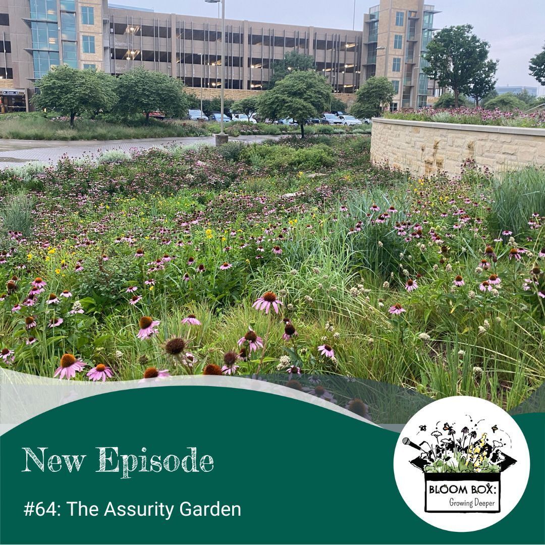 Episode 64: The Assurity Garden