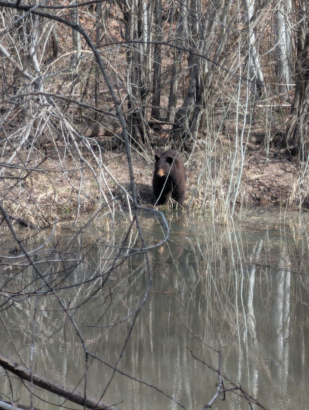 Kids sitting around a fire pit during 2025 Sunset & S'mores