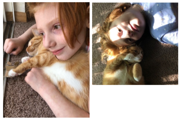 Ollie from March 2019 Newsletter