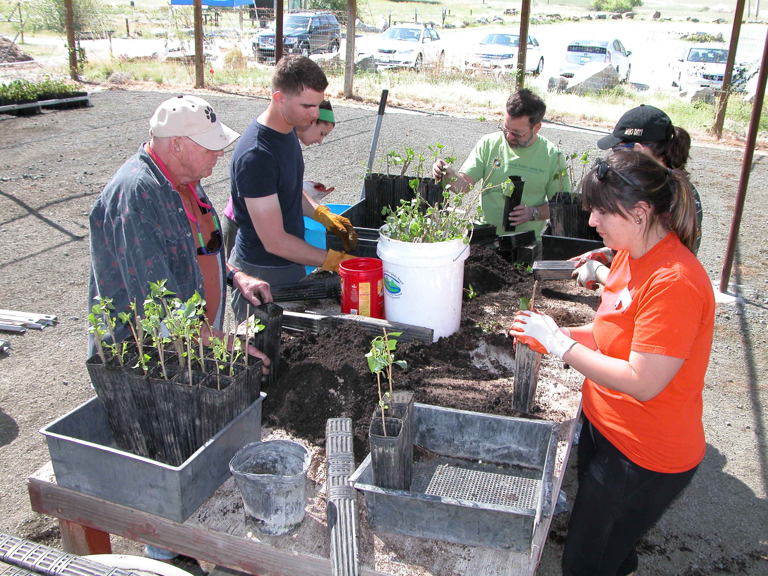 Volunteer this summer at KOP, Dry Creek