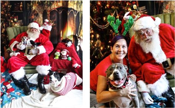Bring your Dog for Pictures with Santa!