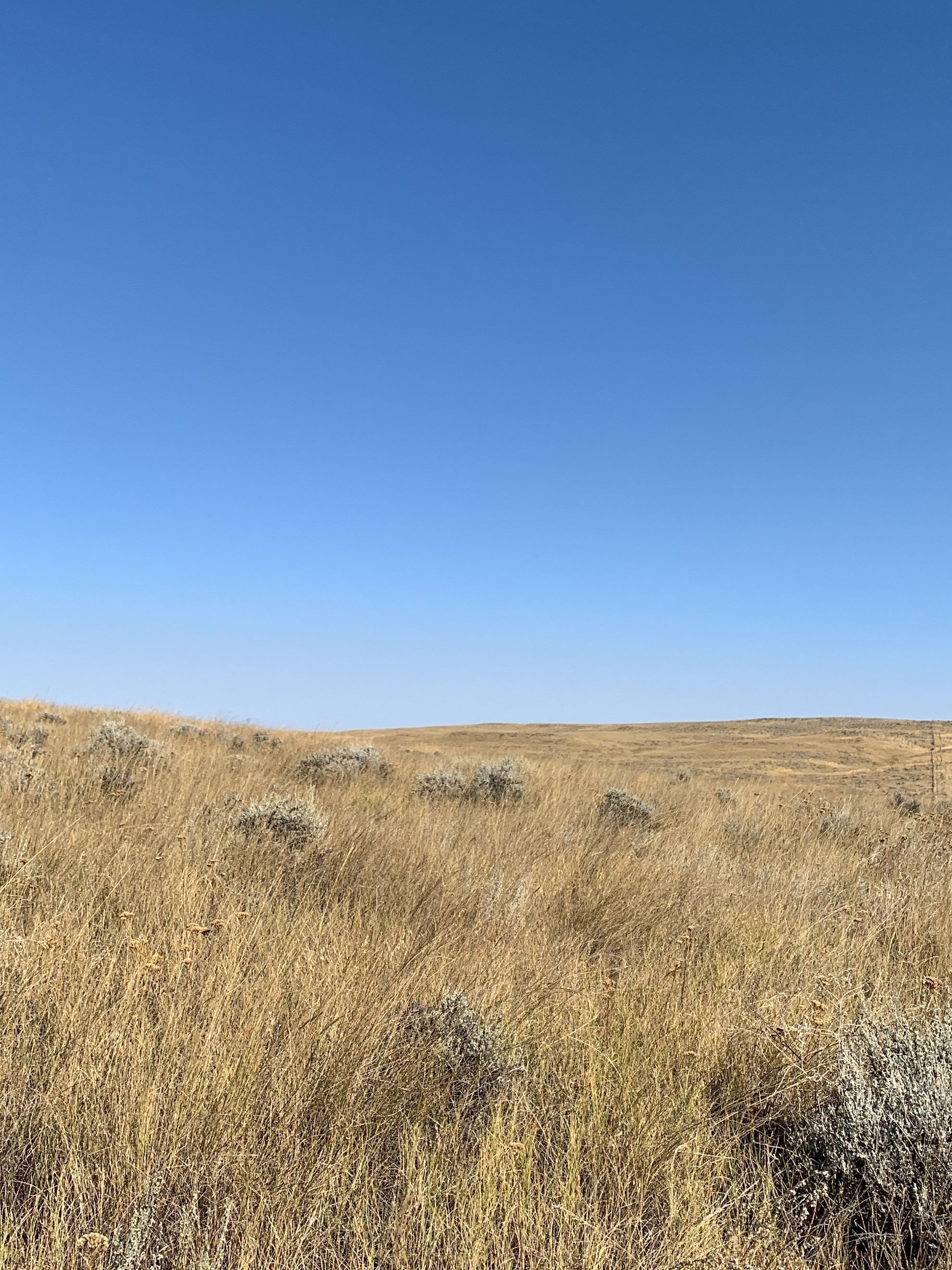 A view of a blue sky and a prairie.