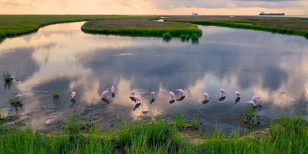 Bolivar Flats Saved!