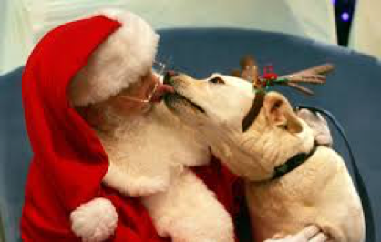 Pet Photos with Santa this Saturday!