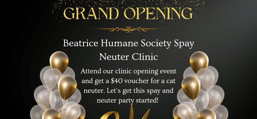 Spay Neuter Clinic Open House