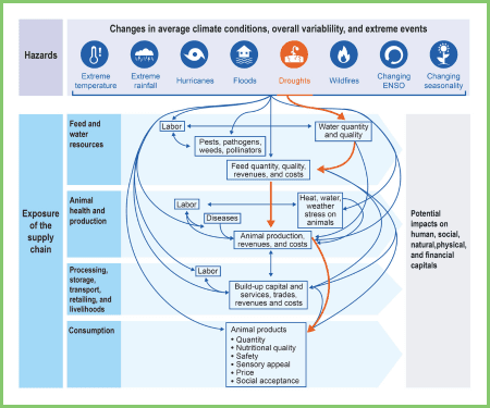 Diagram showing how different weather events and climate impacts affect the food supply chain