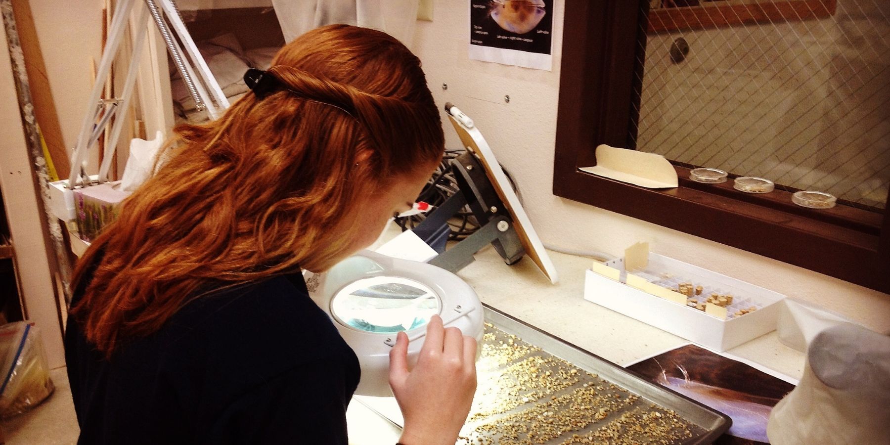 Apply for The Mammoth Site Summer Internship Program