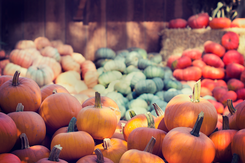 Harvest Festival on October 26th