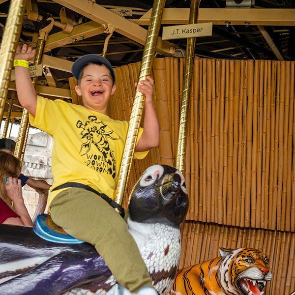 Boy Riding a Carousel