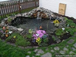 Tips for Backyard Ponds