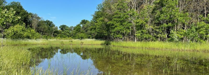 ODNR ACCEPTING PROJECT APPLICATIONS FOR H2OHIO’S 2024 WETLAND GRANT PROGRAM