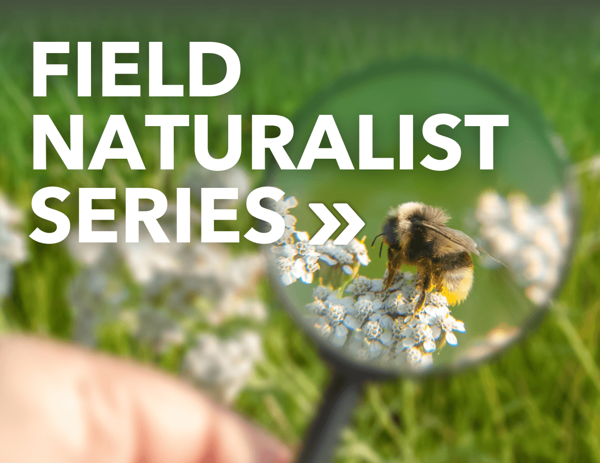 Field Naturalist Series