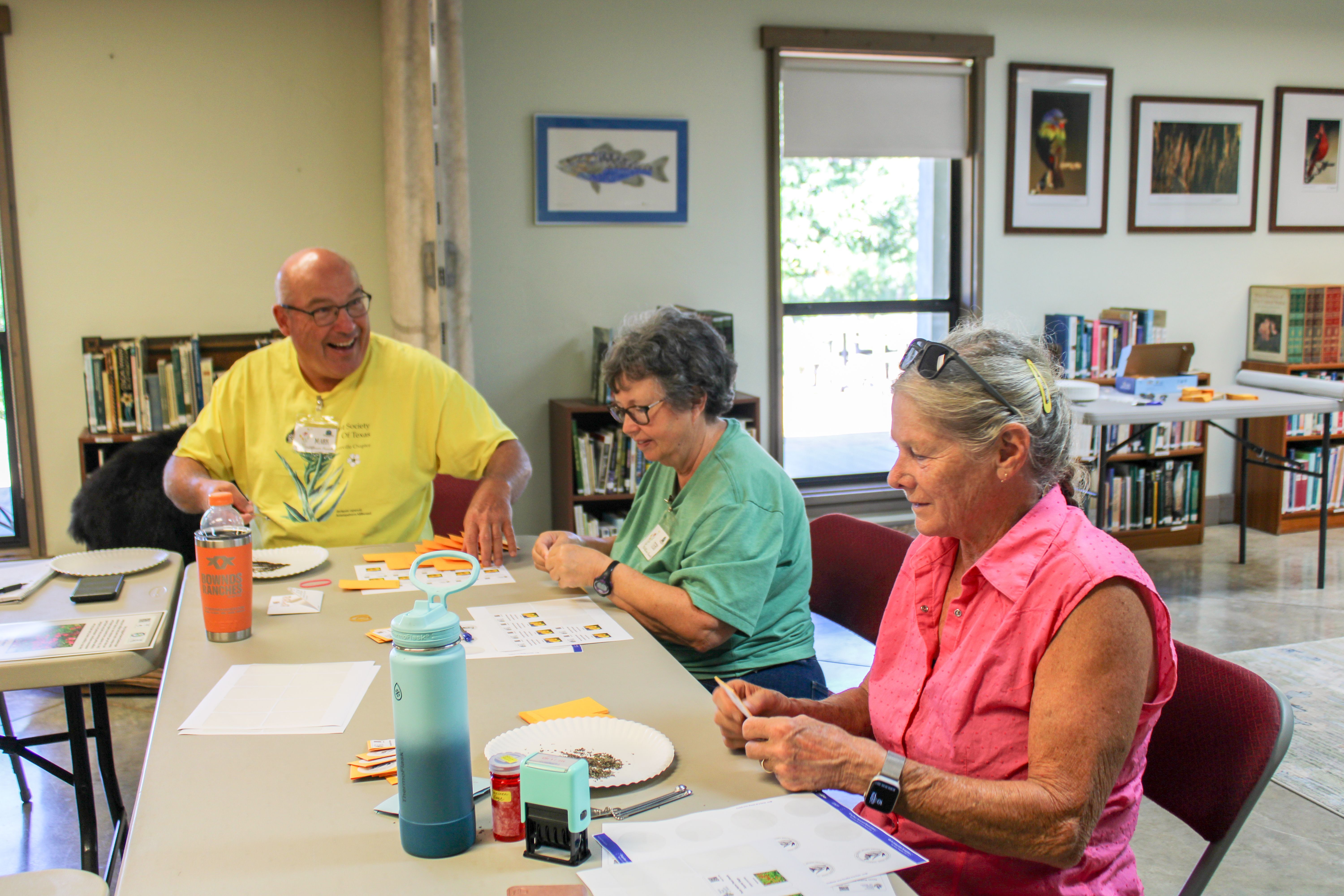 wildflower bunch, bloom search, kerrville plants, local native plants