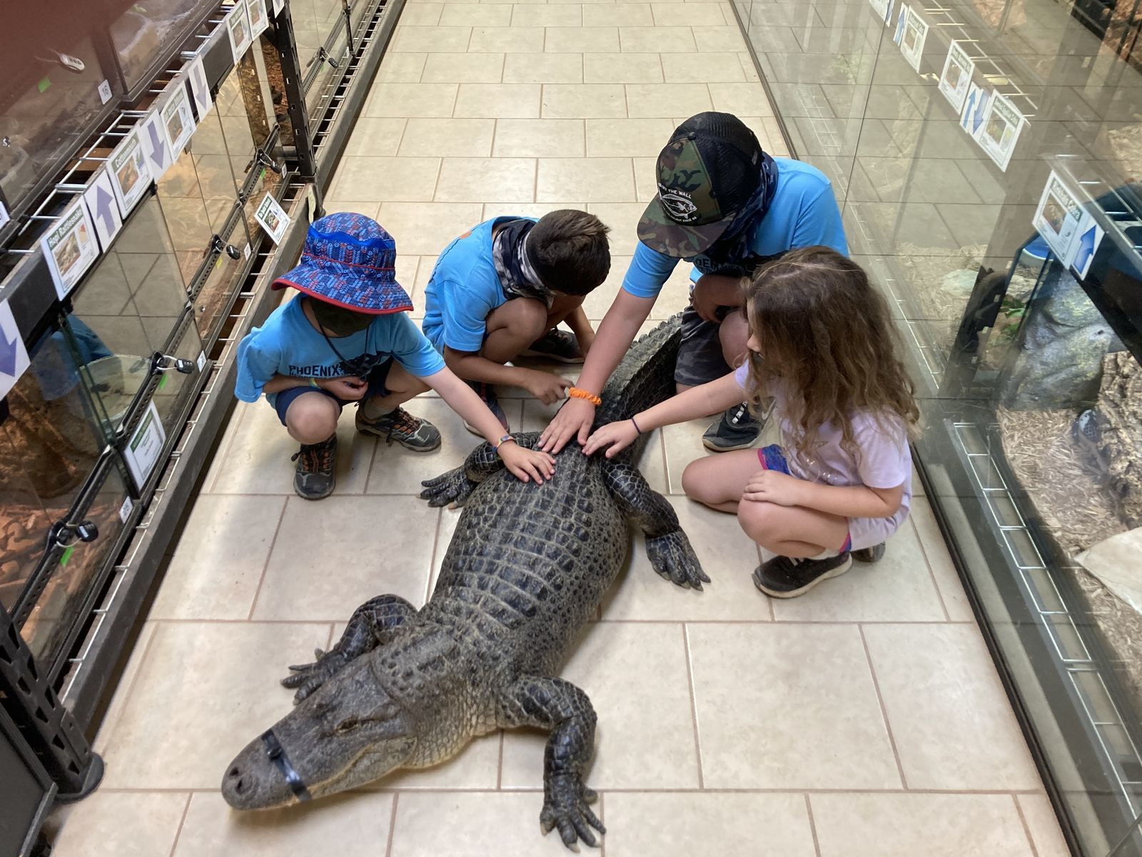 Reptile Encounters Camps Education Phoenix Herpetological Society