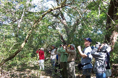 Info for Birders