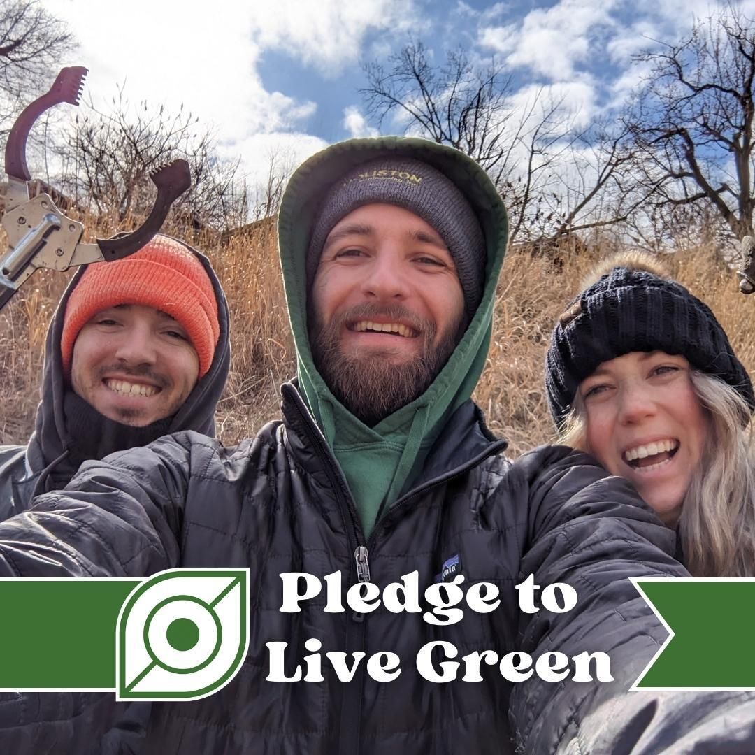 Pledge to Live Green 