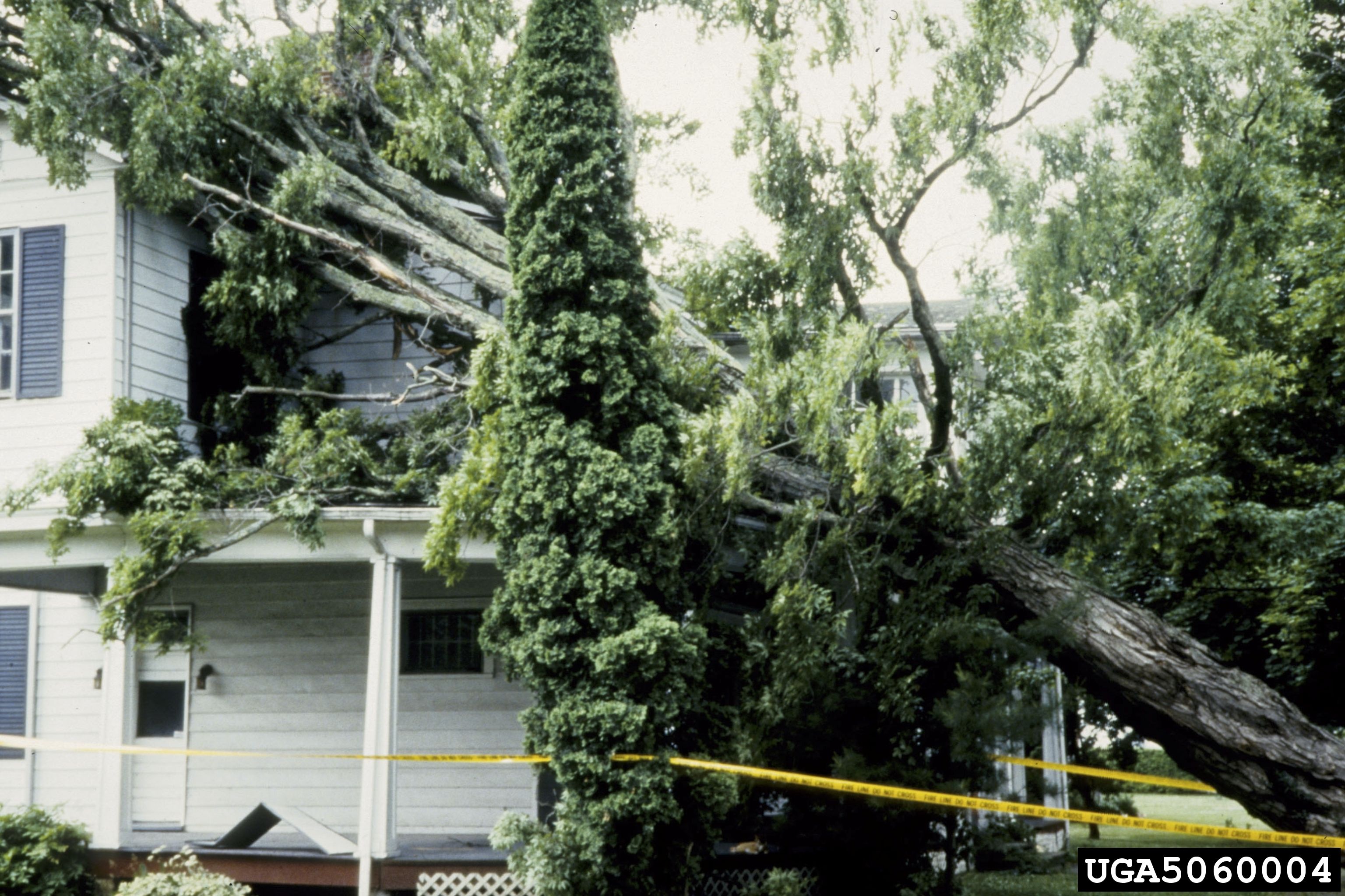 READINESS, RESPONSE, RECOVERY: MANAGING TREES WITH STORMS IN MIND