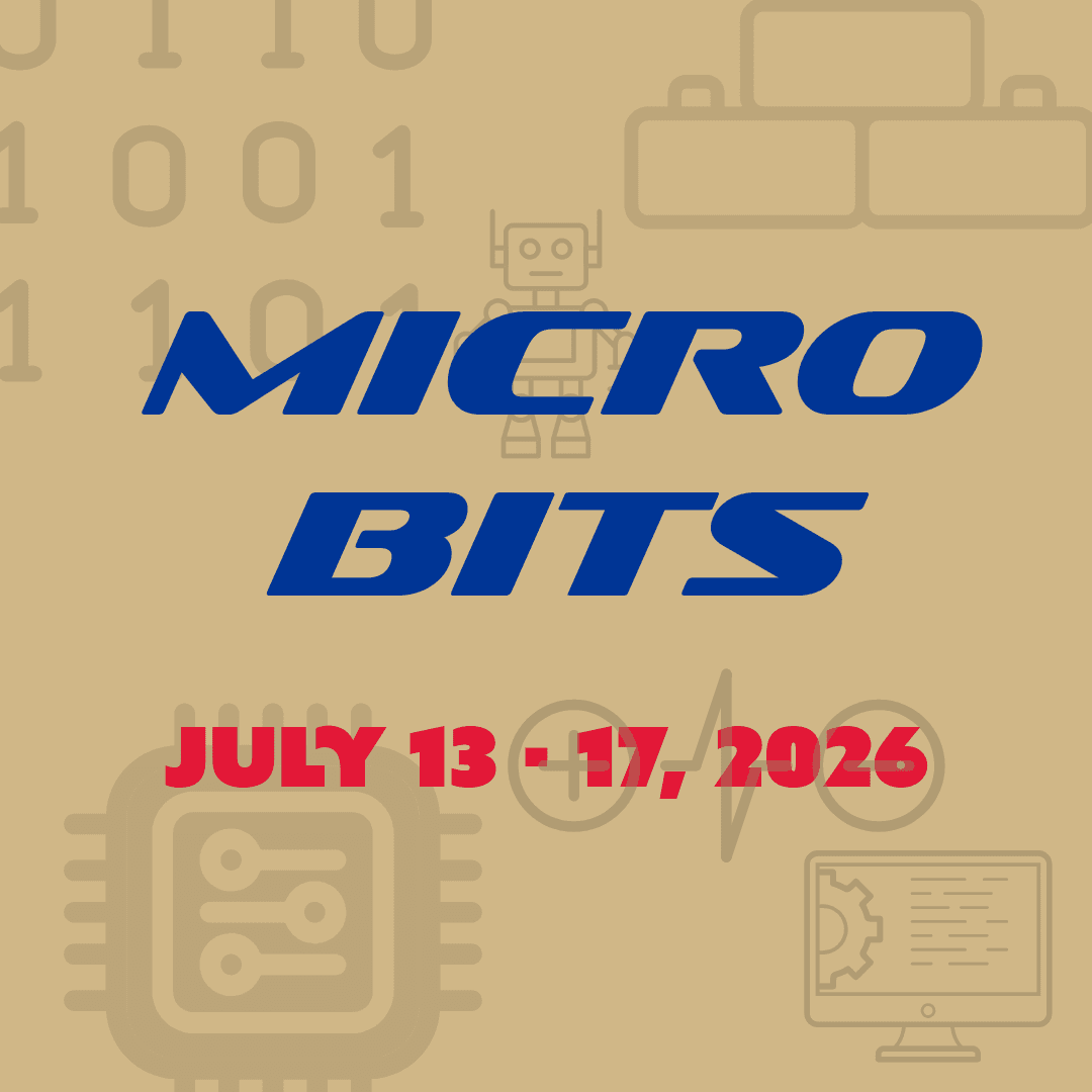 Micro Bits